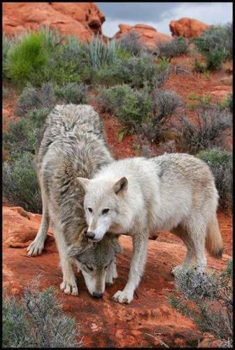 efb079e23adbf723eb93589b47be6a9f