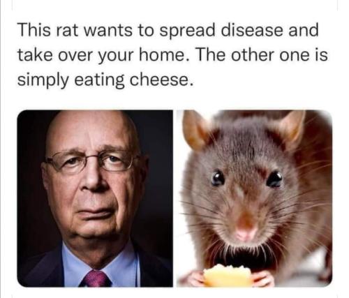 Klaus_NAZI_rat_cheese_reset_asshole