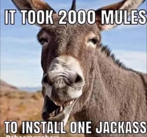 659eeedd-8979-483d-92aa-fea5e7d8877e