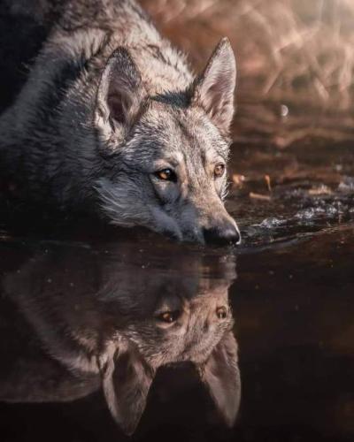 tumblr_df1f7c735d529431b4701279315015a1_87f4e52d_540