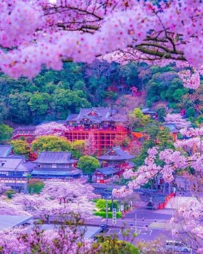 280289660_519727083115101_8387413044534731877_n