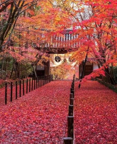 285199672_534732088281267_3692742135752486119_n