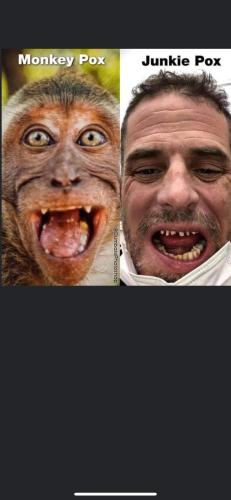 FB_IMG_1653143701742