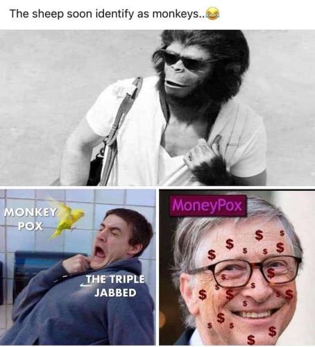 3a749a19-cf10-48a7-af8e-b8155e54ecee