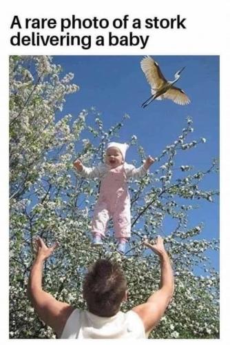 279681742_10222621032926745_6660373037679201754_n