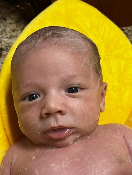 45ac4291-ca0e-4bf0-b512-69da53fc8a6b