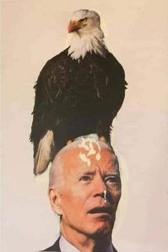 biden poop eagle