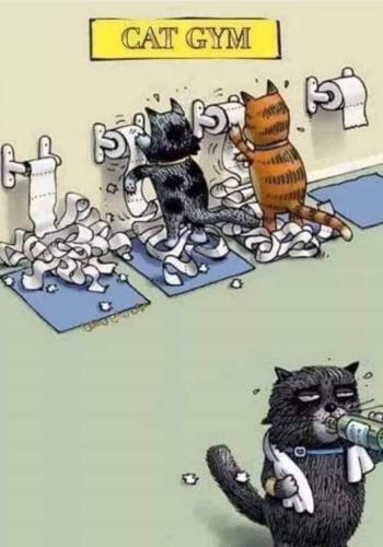 A8FD3FCA-D77E-40A2-BF03-5B50A603DDD9-16948-00001B00E0379BA3