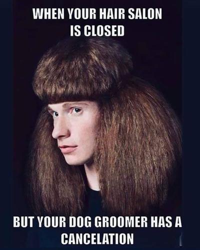 277759191_10225337518778332_5117784721340861833_n