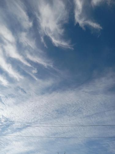 a103e6f0-67b7-4dcf-812a-031073bdee8e