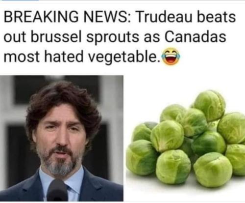 3acc1dac-a334-457e-9fc6-73fcd6fb686d