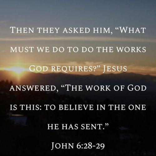 f1da48eb-b2a4-446c-98c4-056b7ad9f603