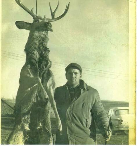 FB_IMG_1652669441521