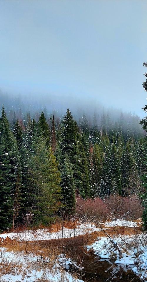 0d34b9c2-48ce-4b4c-9799-cb4a603b4c14