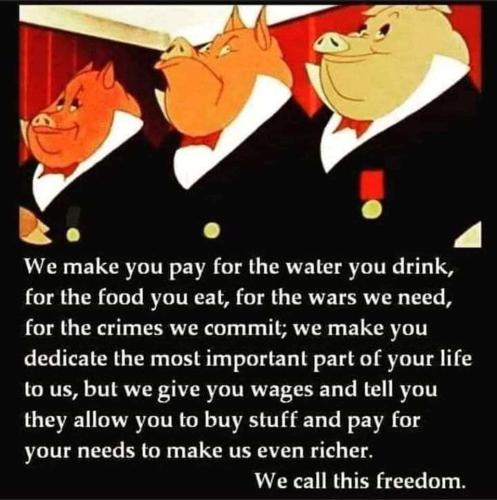 c5a810bf-e0f3-4b3e-b0b5-05d37d3f72df