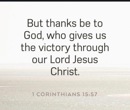 457ecbcb-9ddd-4f4a-916e-c24da3ee7c3b