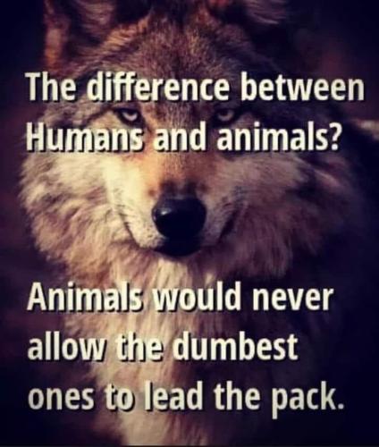 FB_IMG_1653377480101