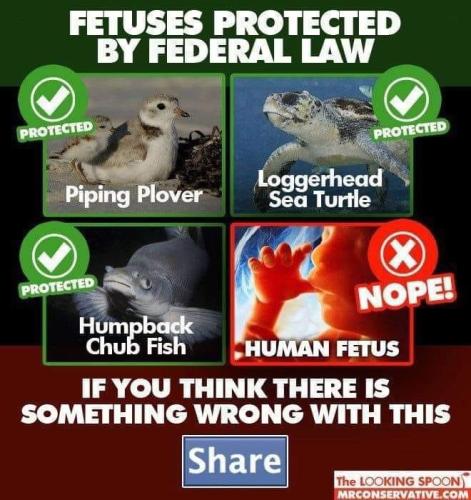 46768E11-0AF8-449D-B502-AECBDBAFFE03