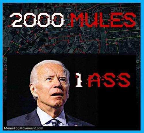 303e279c-0be8-47fb-86c4-80befb02261c