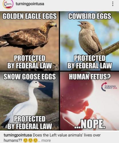 2484ab0c-381c-4f71-ab31-51cc7f51f38b