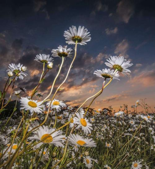 93bb3443-38c9-47d1-818d-5aeef7df80b0