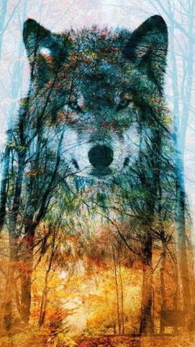 19:54:33 GMT-0500 (CDT)