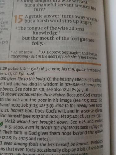 2f7b20fb-6c98-4380-8b24-be0568901a0f