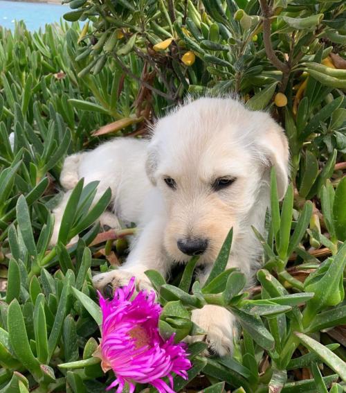 9EB73444-1C32-40DD-BFAD-910D595B60D6