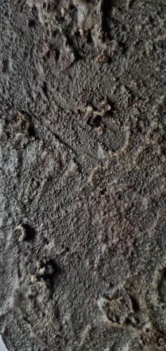 ba38c07c-a21d-42ca-b5c2-bddfd919df7c