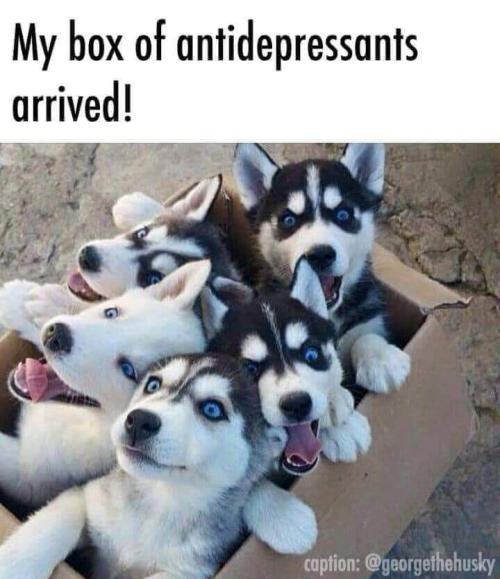 FB_IMG_1648785259213