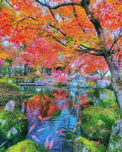 279364242_514003110354165_5861158698523475084_n