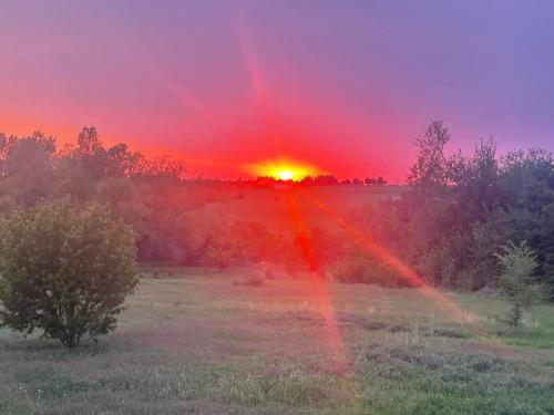 FB_IMG_1652579240497