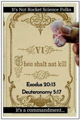 9227e8b2-61c8-4b56-8ccd-6432213644b7