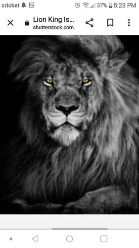 ef85fd61-07e7-4eea-8cd2-c8ad327cf5ea