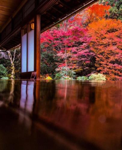 279880039_520313146389828_8650651984307729327_n