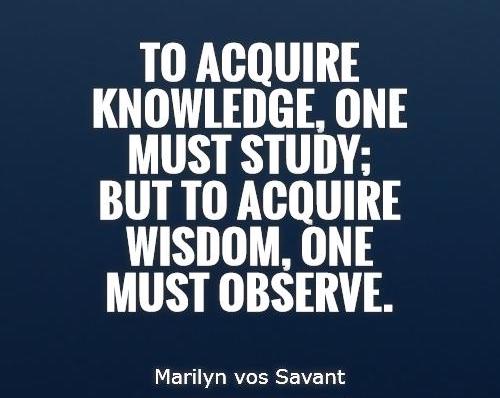 1-Leader Observation