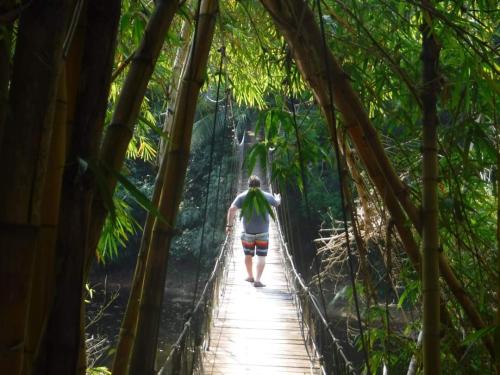 FB_IMG_1649787890481