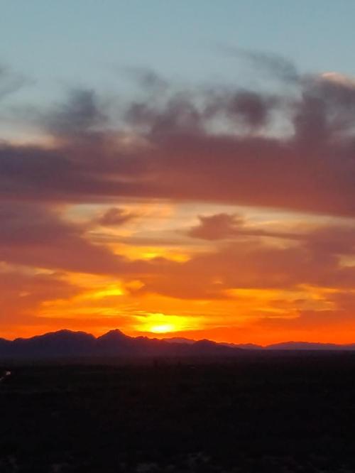 d615d70a-cca3-4ddb-b083-83927298f0b2