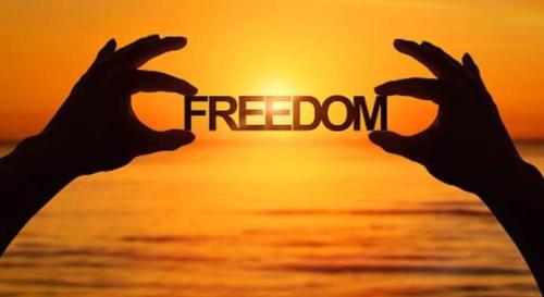 FB_IMG_1644857775144