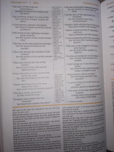 e767f7f8-4bfb-4cb6-bd74-c87b5d967edb