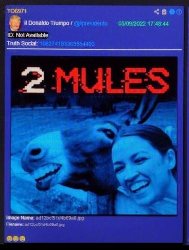 2 MULES