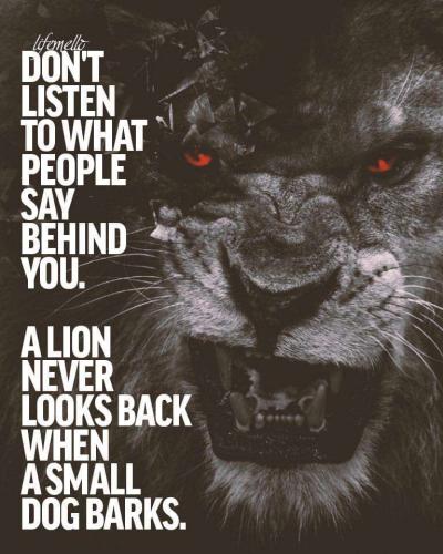 e5f1d85e-4ea2-44ad-859e-37d4740239a9