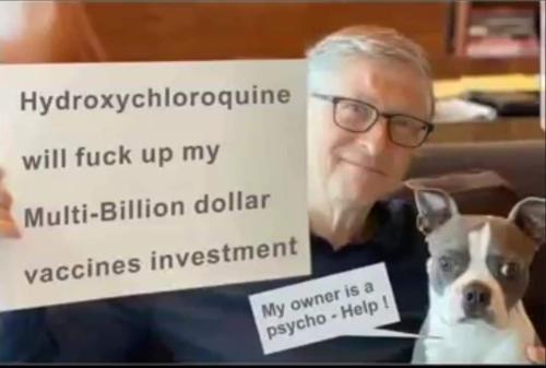 233b6b97-0c8c-4e59-b537-742fda2ca21b