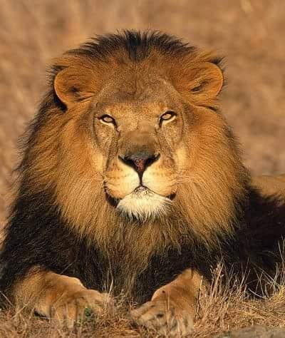 b3a268e9-072f-43b2-b298-219df87f963e