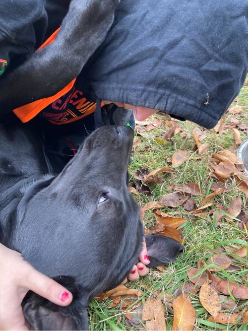 A15760CF-64A0-4992-8F05-944BA8EFC593