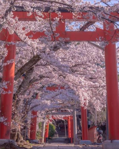 279505426_539374674225206_1231057377785700230_n