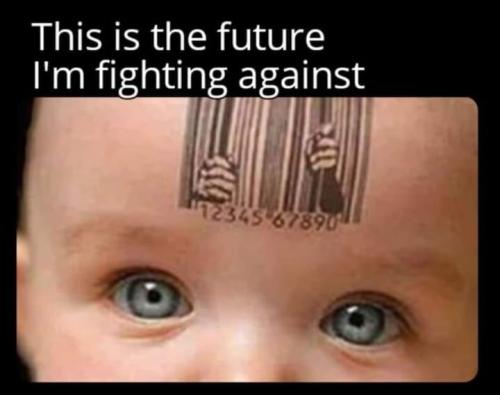 279246137_4642211805878612_3739159321187762931_n