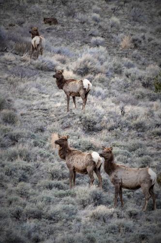 tumblr_a0f6f18549343d7b6592da2efdd702d8_a532dedd_540