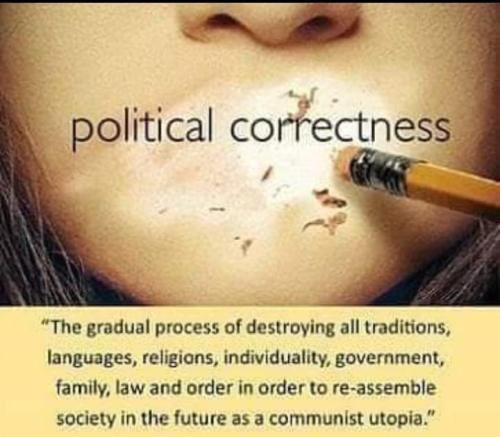Political Correctness 1