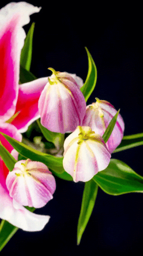 09:18:49 GMT-0500 (CDT)